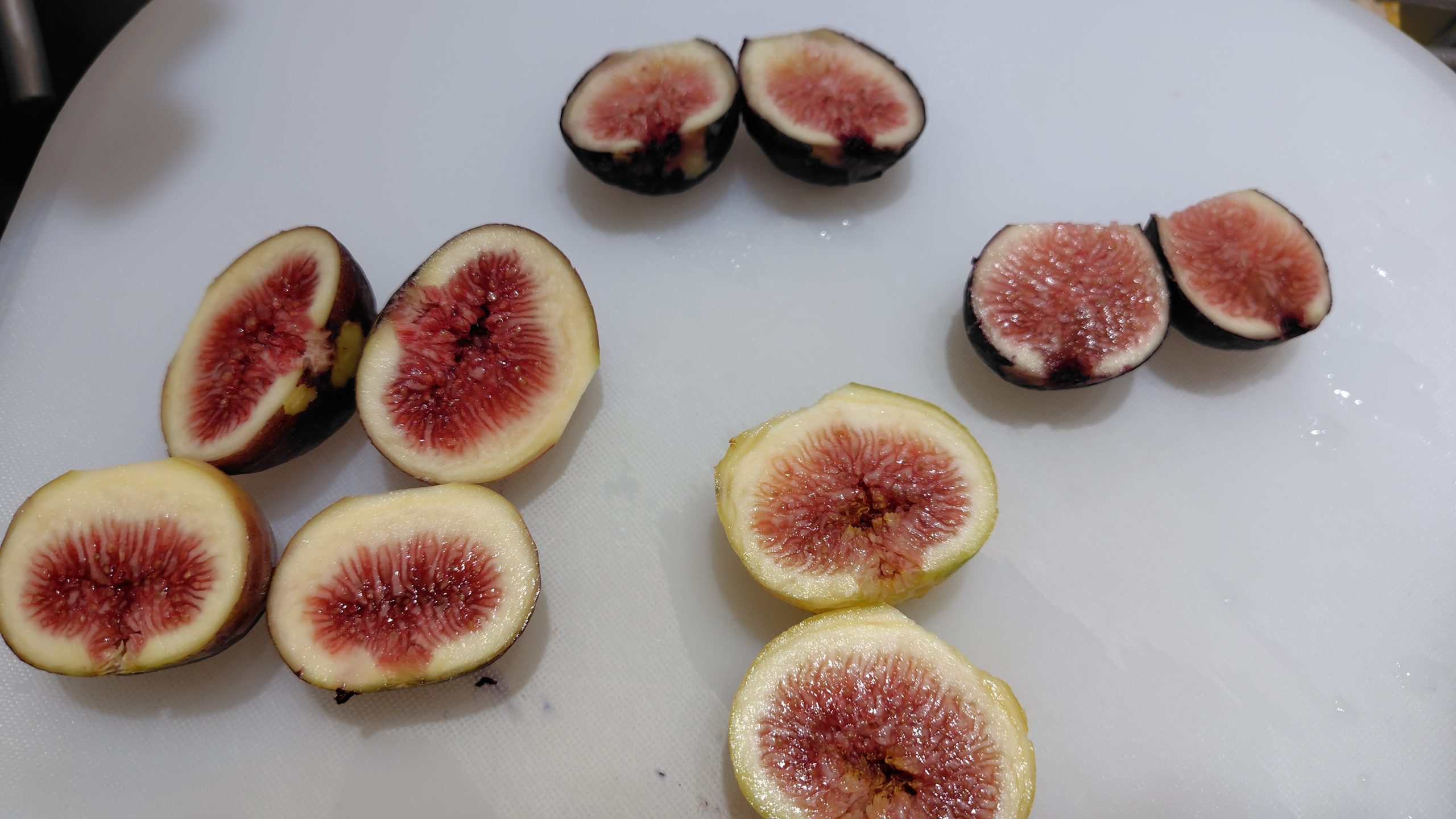 イチジク ４種 断面