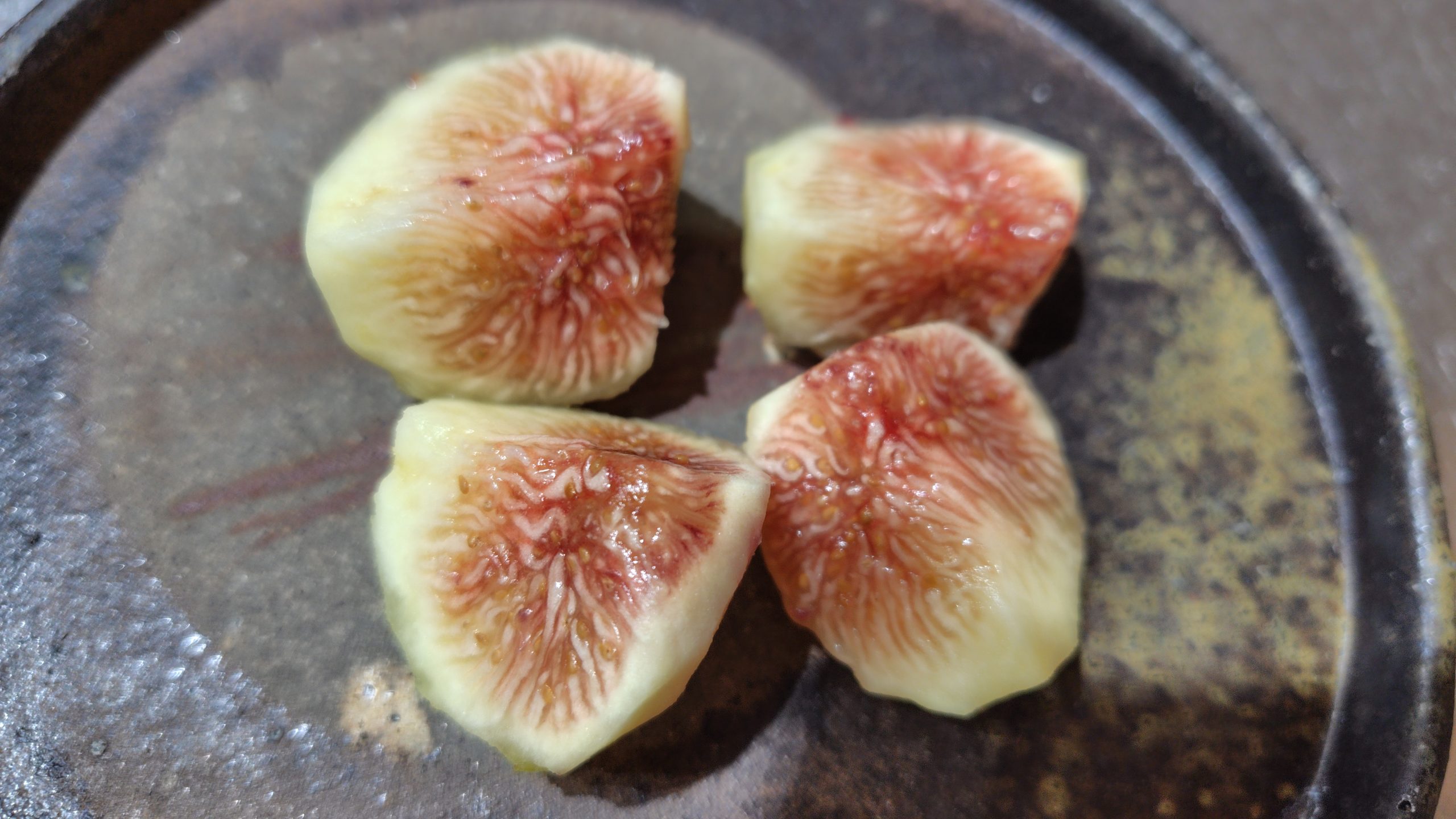 イチジク ヌアール・ド・カロン