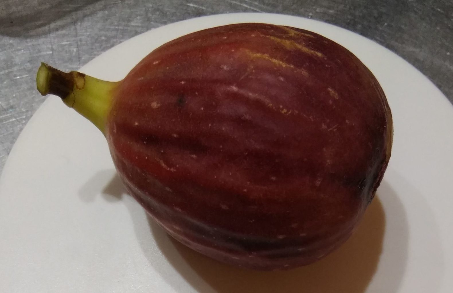 イチジク ドーフィン