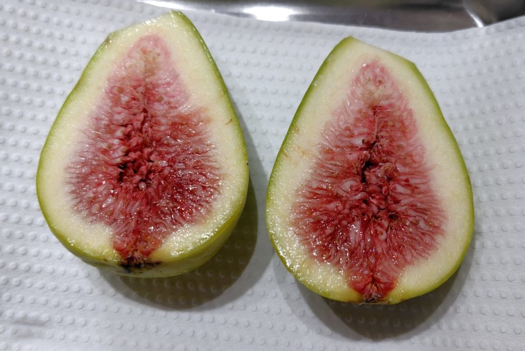 イチジク ダルマティ